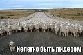 Нажмите на изображение для увеличения
Название: IMG_3936.JPG
Просмотров: 366
Размер:	90.4 Кб
ID:	1548722