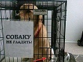 Нажмите на изображение для увеличения
Название: IMG_3954.JPG
Просмотров: 389
Размер:	94.1 Кб
ID:	1550492