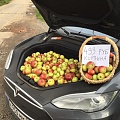 Нажмите на изображение для увеличения
Название: IMG_3961.JPG
Просмотров: 416
Размер:	138.5 Кб
ID:	1551342