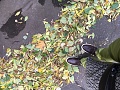 Нажмите на изображение для увеличения
Название: IMG_0820.jpg
Просмотров: 346
Размер:	627.0 Кб
ID:	1551673