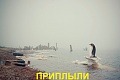 Нажмите на изображение для увеличения
Название: IMG_3993.JPG
Просмотров: 425
Размер:	170.8 Кб
ID:	1553925