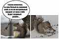 Нажмите на изображение для увеличения
Название: IMG_4030.JPG
Просмотров: 398
Размер:	65.0 Кб
ID:	1556113