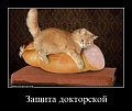Нажмите на изображение для увеличения
Название: IMG_4064.JPG
Просмотров: 365
Размер:	46.5 Кб
ID:	1561302