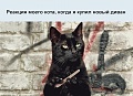 Нажмите на изображение для увеличения
Название: IMG_4070.JPG
Просмотров: 353
Размер:	62.8 Кб
ID:	1562270