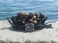Нажмите на изображение для увеличения
Название: P8240167.jpg
Просмотров: 230
Размер:	400.5 Кб
ID:	156455