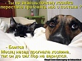 Нажмите на изображение для увеличения
Название: 61631.jpg
Просмотров: 337
Размер:	76.6 Кб
ID:	1565398