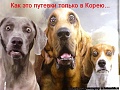 Нажмите на изображение для увеличения
Название: 1614830_526298.jpg
Просмотров: 341
Размер:	81.3 Кб
ID:	1565400
