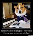 Нажмите на изображение для увеличения
Название: boss37.jpg
Просмотров: 341
Размер:	72.2 Кб
ID:	1565401