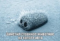Нажмите на изображение для увеличения
Название: IMG_4137.JPG
Просмотров: 446
Размер:	204.0 Кб
ID:	1568522