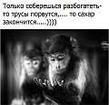 Нажмите на изображение для увеличения
Название: image (4).jpg
Просмотров: 365
Размер:	66.2 Кб
ID:	1582469
