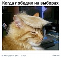Нажмите на изображение для увеличения
Название: 8718036.jpg
Просмотров: 339
Размер:	52.7 Кб
ID:	1586328