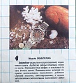 Нажмите на изображение для увеличения
Название: NOS 8 - 05.jpg
Просмотров: 179
Размер:	194.8 Кб
ID:	1588490
