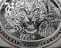 Нажмите на изображение для увеличения
Название: 13-panerai-luminor-1950-sealand-for-purdey-gunmakers-9081.jpg
Просмотров: 408
Размер:	823.4 Кб
ID:	1590619