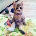 Нажмите на изображение для увеличения
Название: 8729026.jpg
Просмотров: 396
Размер:	90.0 Кб
ID:	1601102
