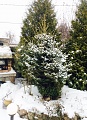 Нажмите на изображение для увеличения
Название: IMG_1814.jpg
Просмотров: 72
Размер:	573.0 Кб
ID:	1627975