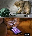 Нажмите на изображение для увеличения
Название: IMG_4294.JPG
Просмотров: 396
Размер:	69.4 Кб
ID:	1641385