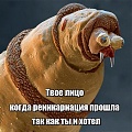 Нажмите на изображение для увеличения
Название: 8971099.jpg
Просмотров: 526
Размер:	87.4 Кб
ID:	1643266