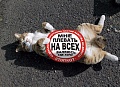 Нажмите на изображение для увеличения
Название: IMG_4304.JPG
Просмотров: 419
Размер:	131.1 Кб
ID:	1643320
