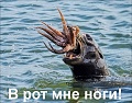 Нажмите на изображение для увеличения
Название: IMG_4305.JPG
Просмотров: 418
Размер:	189.0 Кб
ID:	1643321