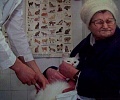 Нажмите на изображение для увеличения
Название: н.jpg
Просмотров: 486
Размер:	35.9 Кб
ID:	1650303