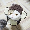Нажмите на изображение для увеличения
Название: IMG_4353.JPG
Просмотров: 464
Размер:	155.0 Кб
ID:	1653179