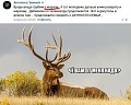 Нажмите на изображение для увеличения
Название: марал.jpg
Просмотров: 539
Размер:	51.0 Кб
ID:	1655097