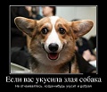Нажмите на изображение для увеличения
Название: укус.jpg
Просмотров: 510
Размер:	58.4 Кб
ID:	1655104