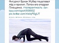 Нажмите на изображение для увеличения
Название: плющ.jpg
Просмотров: 435
Размер:	97.1 Кб
ID:	1657644