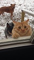 Нажмите на изображение для увеличения
Название: 9042404.jpg
Просмотров: 424
Размер:	141.1 Кб
ID:	1657762