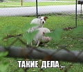 Нажмите на изображение для увеличения
Название: IMG_4405.JPG
Просмотров: 533
Размер:	73.2 Кб
ID:	1660834