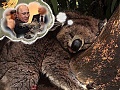 Нажмите на изображение для увеличения
Название: коала.jpg
Просмотров: 468
Размер:	80.4 Кб
ID:	1664493