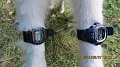 Нажмите на изображение для увеличения
Название: IMG_2809.JPG
Просмотров: 562
Размер:	116.3 Кб
ID:	166590