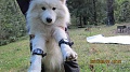 Нажмите на изображение для увеличения
Название: IMG_2810.JPG
Просмотров: 511
Размер:	125.4 Кб
ID:	166591