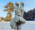 Нажмите на изображение для увеличения
Название: 9160574.jpg
Просмотров: 493
Размер:	127.0 Кб
ID:	1673604