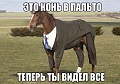 Нажмите на изображение для увеличения
Название: IMG_4449.JPG
Просмотров: 459
Размер:	75.6 Кб
ID:	1674056