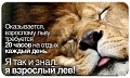 Нажмите на изображение для увеличения
Название: 9151247.jpg
Просмотров: 511
Размер:	96.5 Кб
ID:	1674196