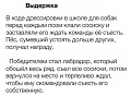 Нажмите на изображение для увеличения
Название: IMG_4467.JPG
Просмотров: 470
Размер:	80.7 Кб
ID:	1675601