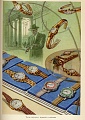 Нажмите на изображение для увеличения
Название: 1960.jpg
Просмотров: 429
Размер:	222.9 Кб
ID:	1676384