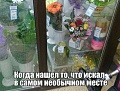 Нажмите на изображение для увеличения
Название: IMG_4537.JPG
Просмотров: 429
Размер:	119.8 Кб
ID:	1687908