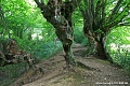 Нажмите на изображение для увеличения
Название: innerer-landgraben-friedrichwald-bei-aachen-4.jpg
Просмотров: 24
Размер:	530.8 Кб
ID:	1691594