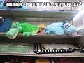 Нажмите на изображение для увеличения
Название: IMG_4571.JPG
Просмотров: 375
Размер:	69.7 Кб
ID:	1691770