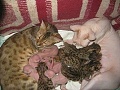 Нажмите на изображение для увеличения
Название: IMG_4580.JPG
Просмотров: 396
Размер:	56.6 Кб
ID:	1691777