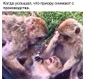 Нажмите на изображение для увеличения
Название: 9258757.jpg
Просмотров: 393
Размер:	123.6 Кб
ID:	1697897