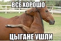 Нажмите на изображение для увеличения
Название: IMG_4612.JPG
Просмотров: 427
Размер:	61.6 Кб
ID:	1698948
