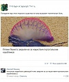 Нажмите на изображение для увеличения
Название: IMG_4617.JPG
Просмотров: 439
Размер:	76.3 Кб
ID:	1698953