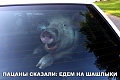 Нажмите на изображение для увеличения
Название: IMG_4628.JPG
Просмотров: 431
Размер:	146.0 Кб
ID:	1701217