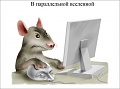 Нажмите на изображение для увеличения
Название: IMG_4642.JPG
Просмотров: 412
Размер:	33.6 Кб
ID:	1701229
