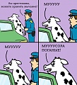 Нажмите на изображение для увеличения
Название: IMG_4645.JPG
Просмотров: 422
Размер:	87.6 Кб
ID:	1701232