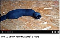 Нажмите на изображение для увеличения
Название: IMG_4684.JPG
Просмотров: 532
Размер:	121.7 Кб
ID:	1709177