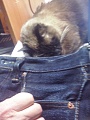 Нажмите на изображение для увеличения
Название: image-uni-178460-1337511696.jpeg
Просмотров: 171
Размер:	219.9 Кб
ID:	1712821